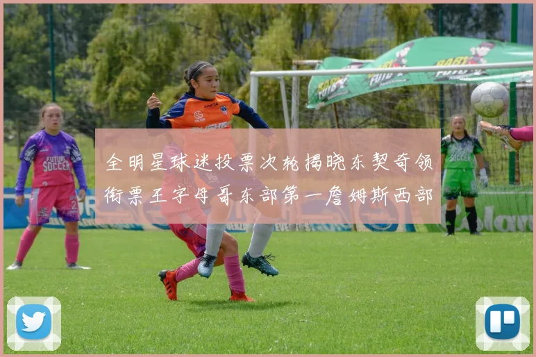 全明星球迷投票次轮揭晓东契奇领衔票王字母哥东部第一詹姆斯西部第八